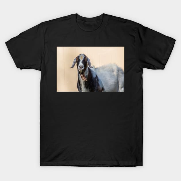 Mini Nubian Buck T-Shirt by SMiddlebrook